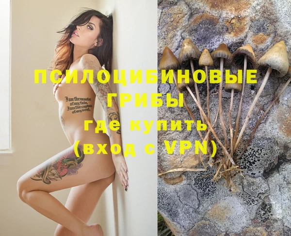 твердый Семёнов
