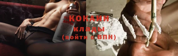 прущие крисы Беломорск