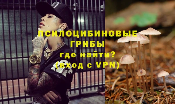МДМА Белокуриха