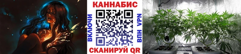 где продают наркотики  Воскресенск  Шишки марихуана VHQ 